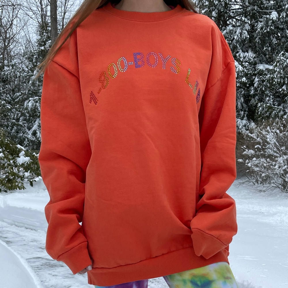 1-800 Boys Lie Sweatshirt
